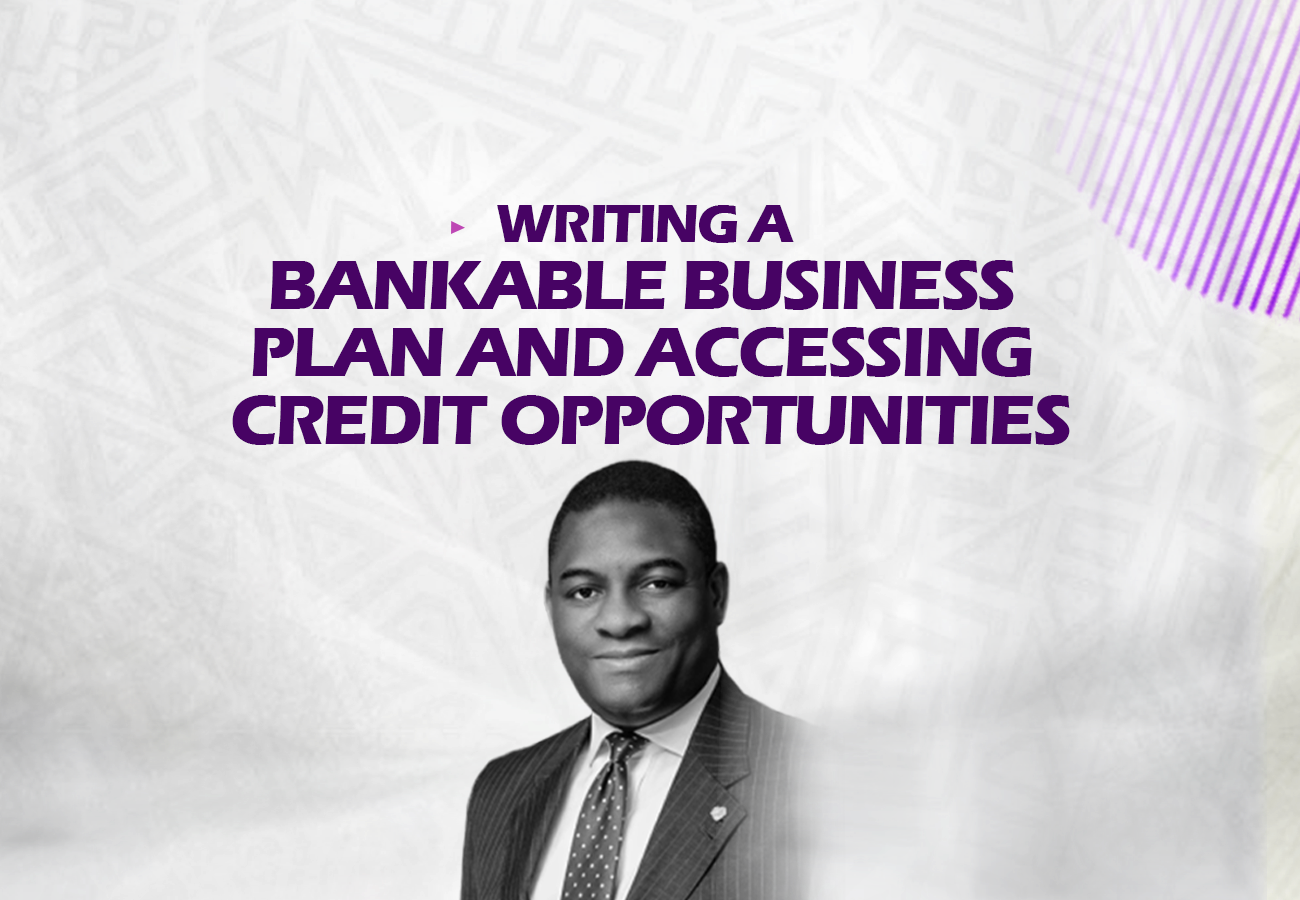 Writing a Bankable Business Plan and Accessing Credit Opportunities